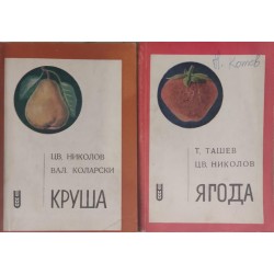 Круша / Ягода