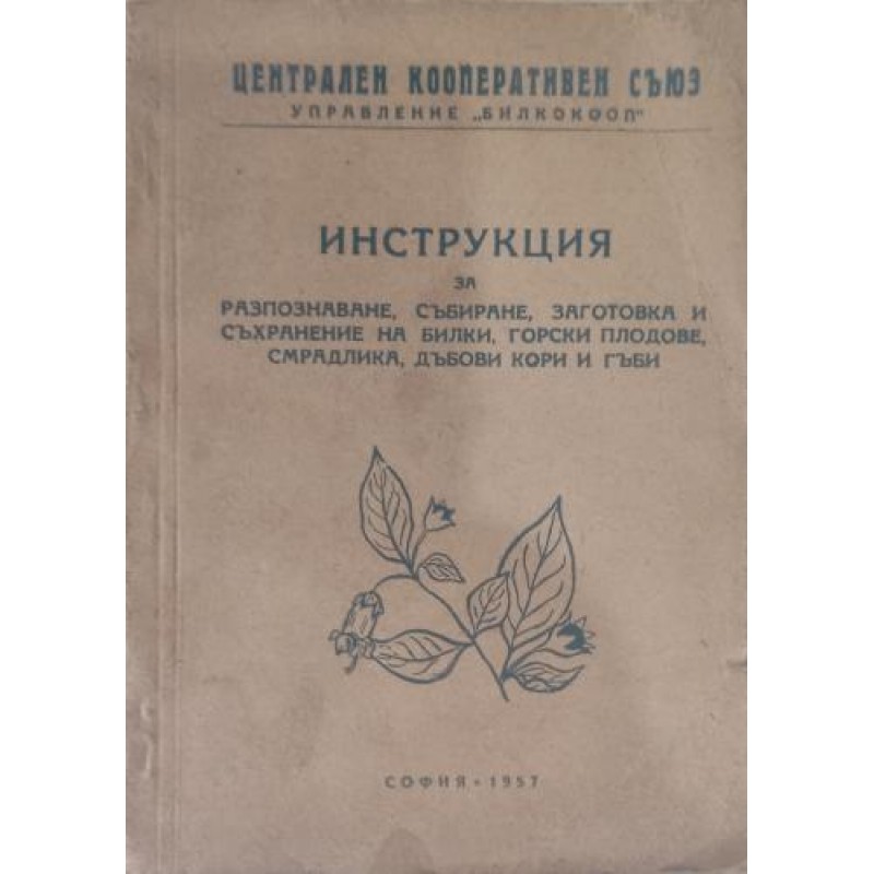Инструкция за разпознаване, събиране, заготовка и съхранение на билки, горски плодове, смрадлика, дъбови кори и гъби | Здраве
