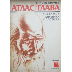 Атлас глава: Анатомия, мимика, пластика