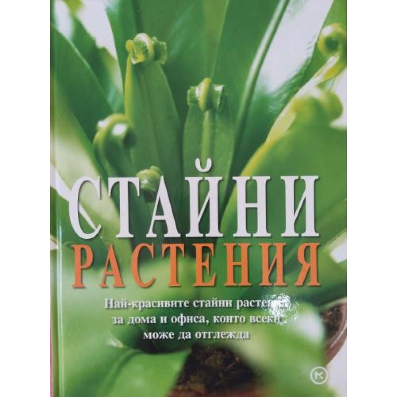 Стайни растения Най-красивите стайни растения за дома и офиса, които всеки може да отглежда | Хоби