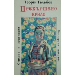 Прекършено крило