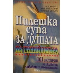 Пилешка супа за душата на тинейджъра