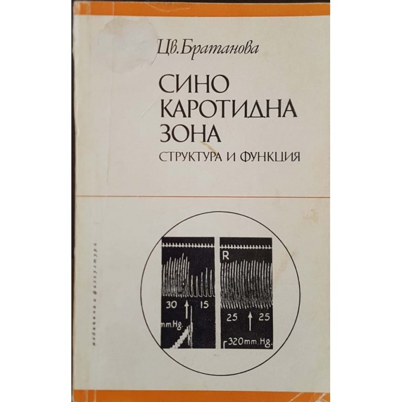 Синокаротидна зона. Структура и функция | Медицина и биология