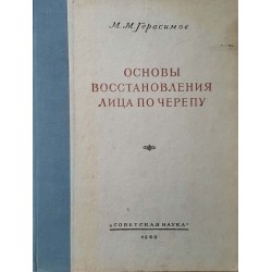 Основы восстановления лица по черепу 